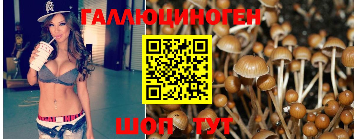 Галлюциногенные грибы Magic Shrooms  Псилоцибиновые грибы мухоморы  Вход с VPN  Заводоуковск 
